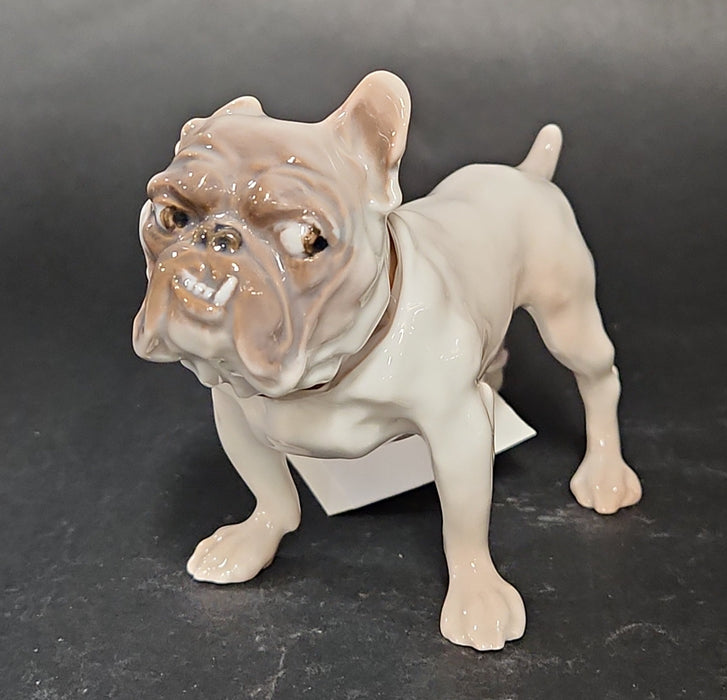 ROYAL COPENHAGEN BULLDOG WITH ATTITUDE