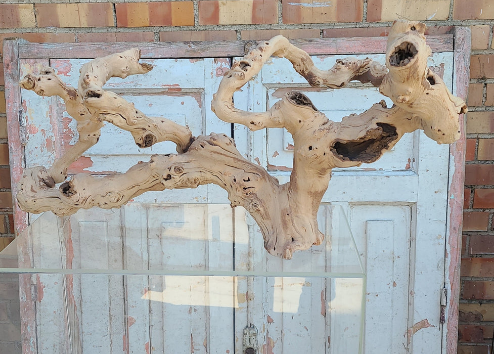 DRIFTWOOD SCULPTURE