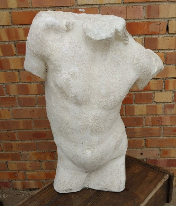 PARTIAL PLASTER MALE TORS0