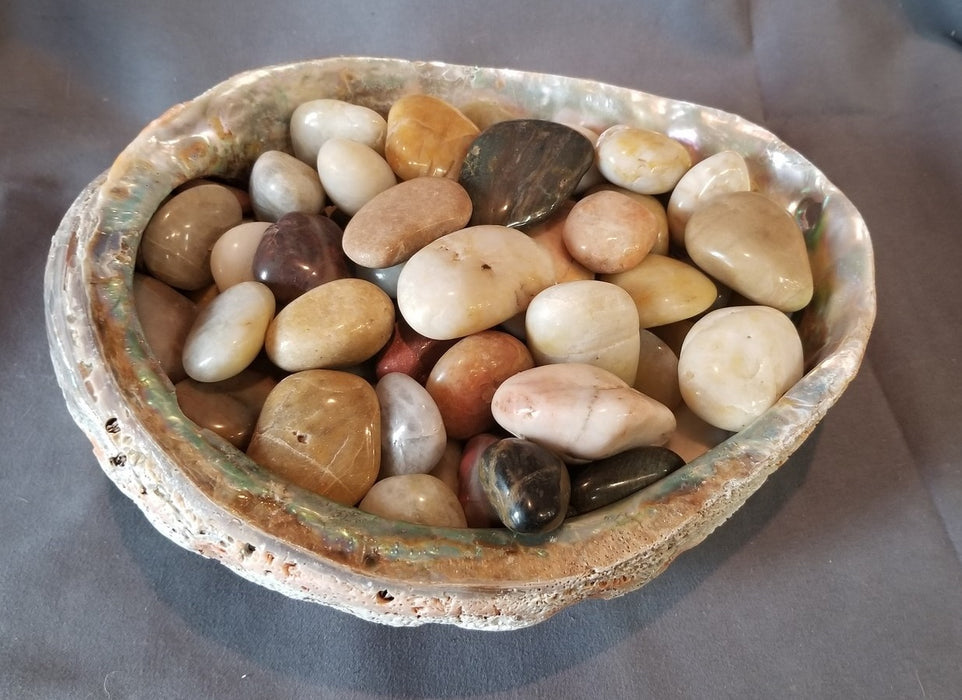 ABALONE SHELL WITH POLISHED STONES