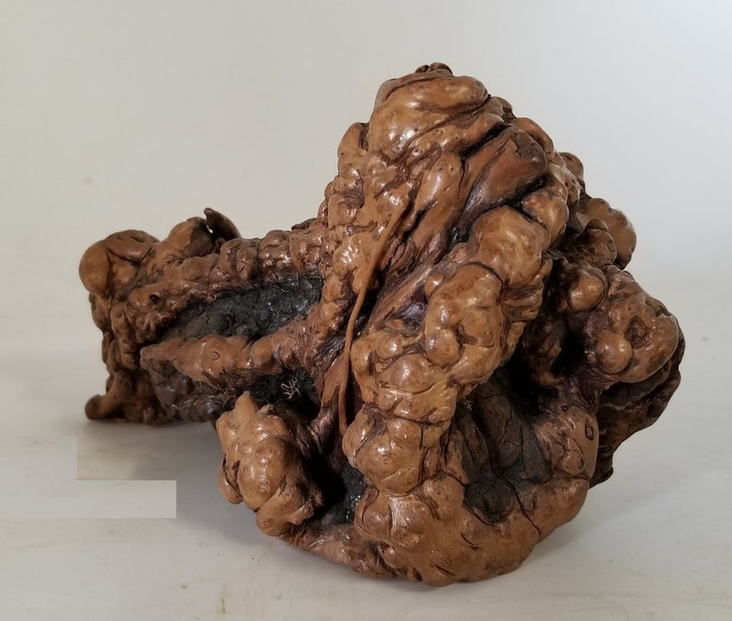 BURLED KNOT STATUE