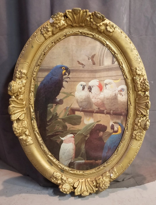 LARGE GOLD FRAME WITH BIRD PRINT
