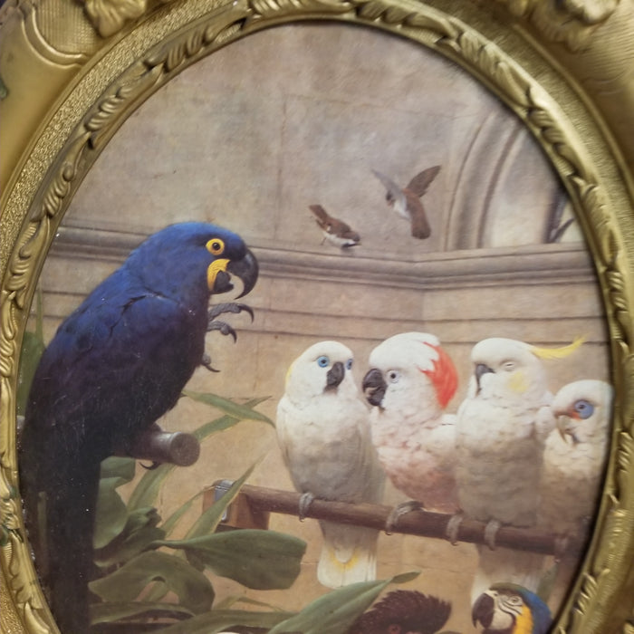 LARGE GOLD FRAME WITH BIRD PRINT