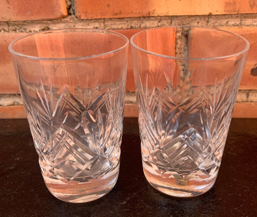 PAIR OF SMALL PALM LEAF CUT CRYSTAL GLASSES