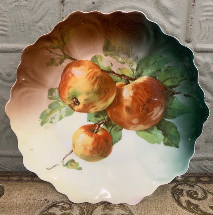 PORCELAIN FRUIT HAND PAINTED BAVARIAN PLATE