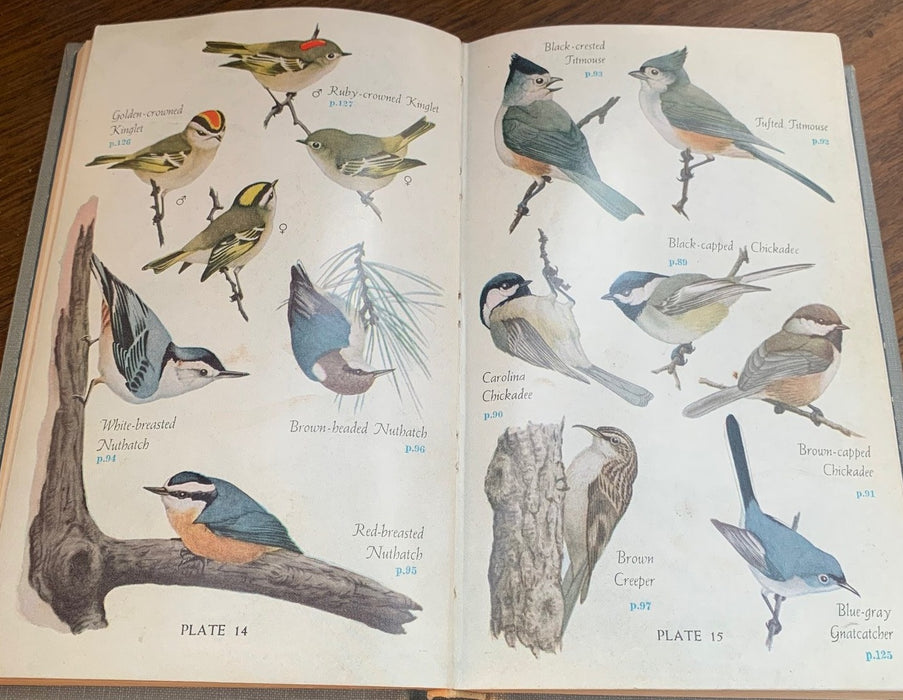 AUBUDON BOOK