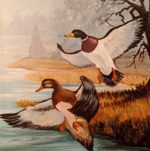 ARTIST SIGNED PRINT OF DUCKS FLYING BY RICHARD C. LEWIS