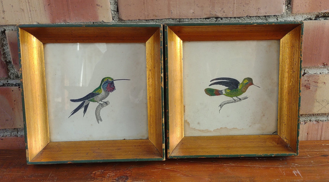 PAIR OF SMALL FRAMED BIRD WATER COLORS