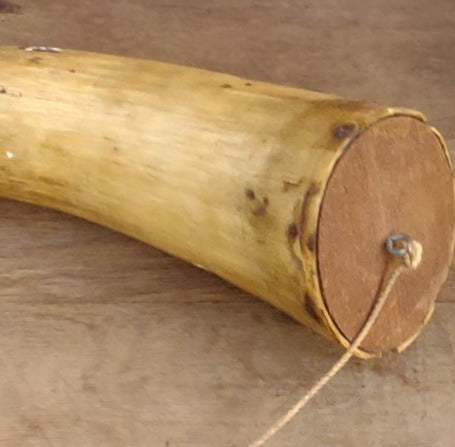 COW HORN POWDER HORN