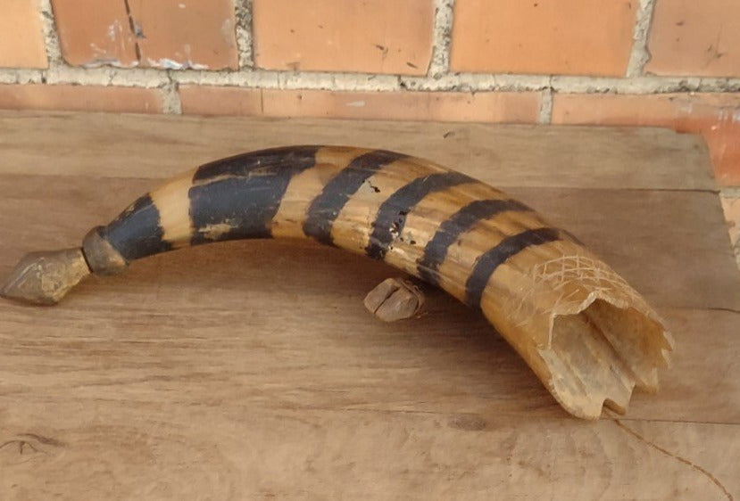 PAINTED COW HORN