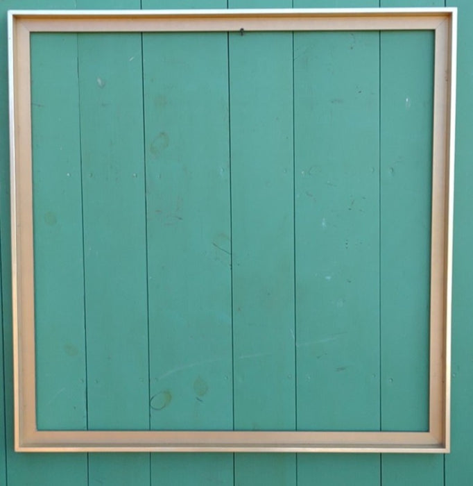 FLOATING CANVAS SILVER FRAME