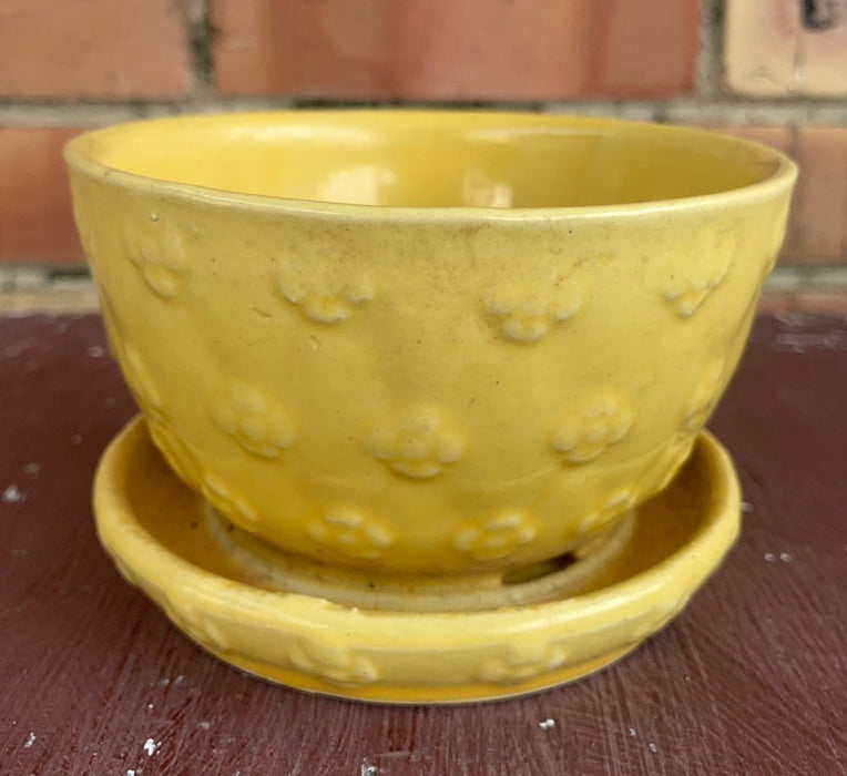 SMALL YELLOW SHAWNEE PLANTER