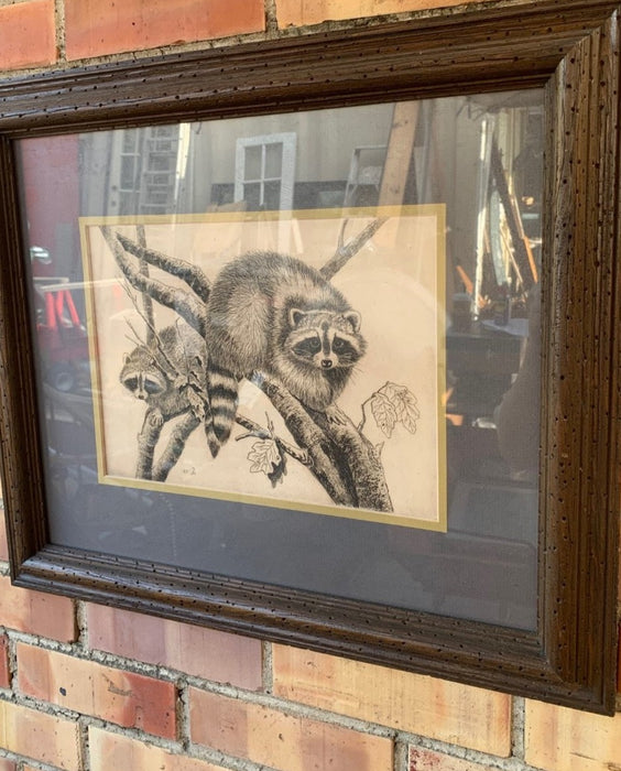 FRAMED PRINT OF 2 RACCOONS