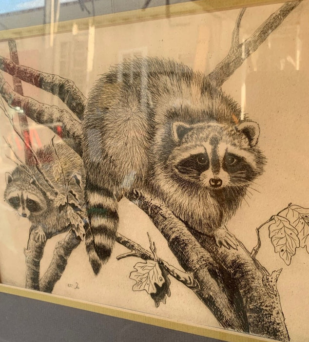 FRAMED PRINT OF 2 RACCOONS