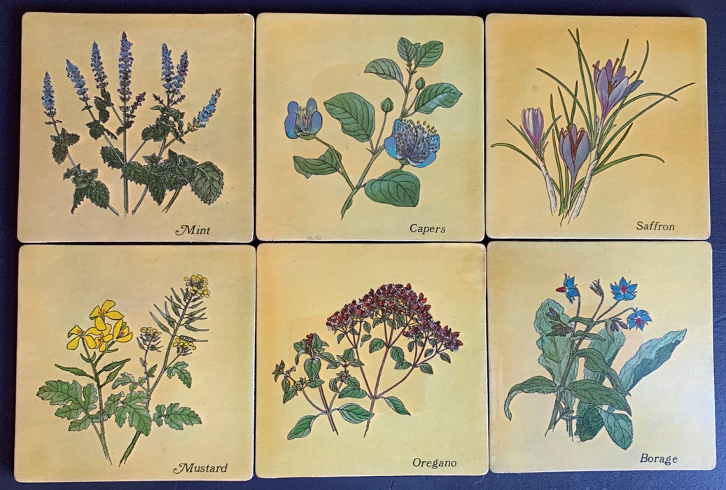 HERBS COASTER SET