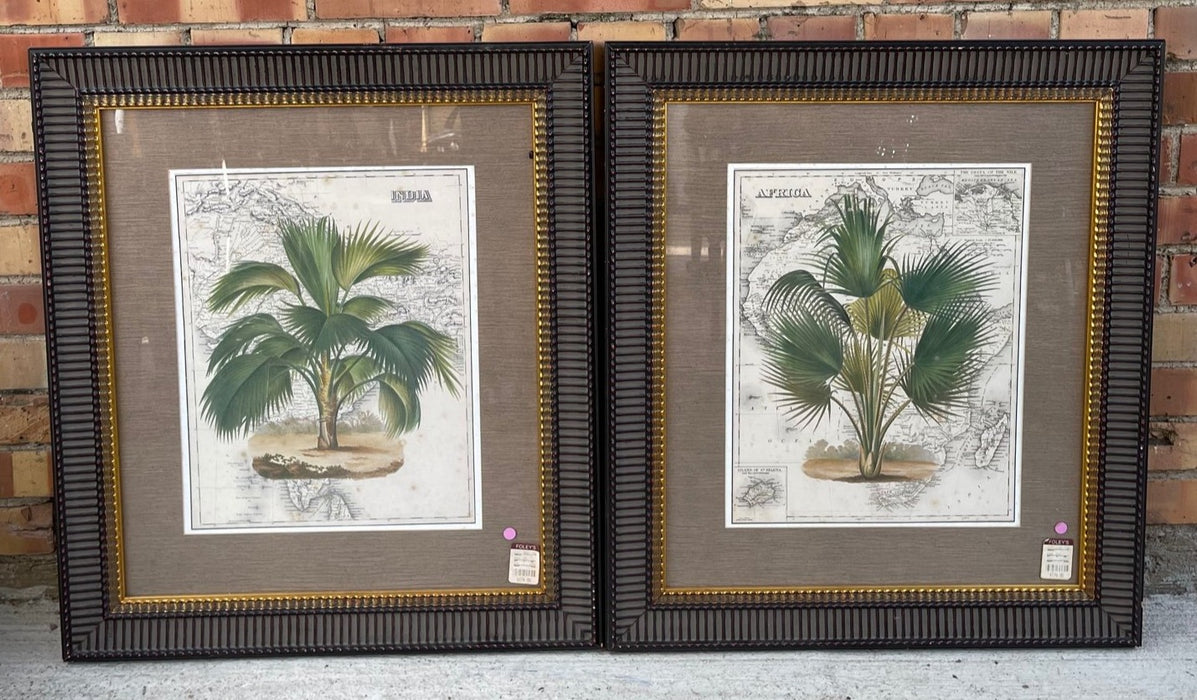 PAIR OF FRAMED FOLEY AFRICAN AND UNDAN PALM PRINTS