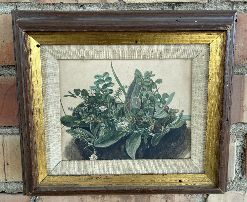 SMALL BOTANICAL PRINT IN FRAME