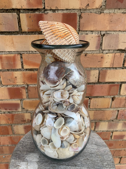 LARGE GLASS JAR FULL OF SEASHELLS