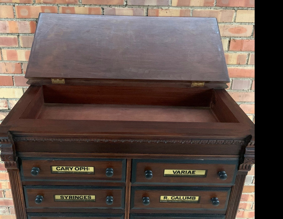ANTIQUE 1880'S WALNUT APOTHECARY CABINET