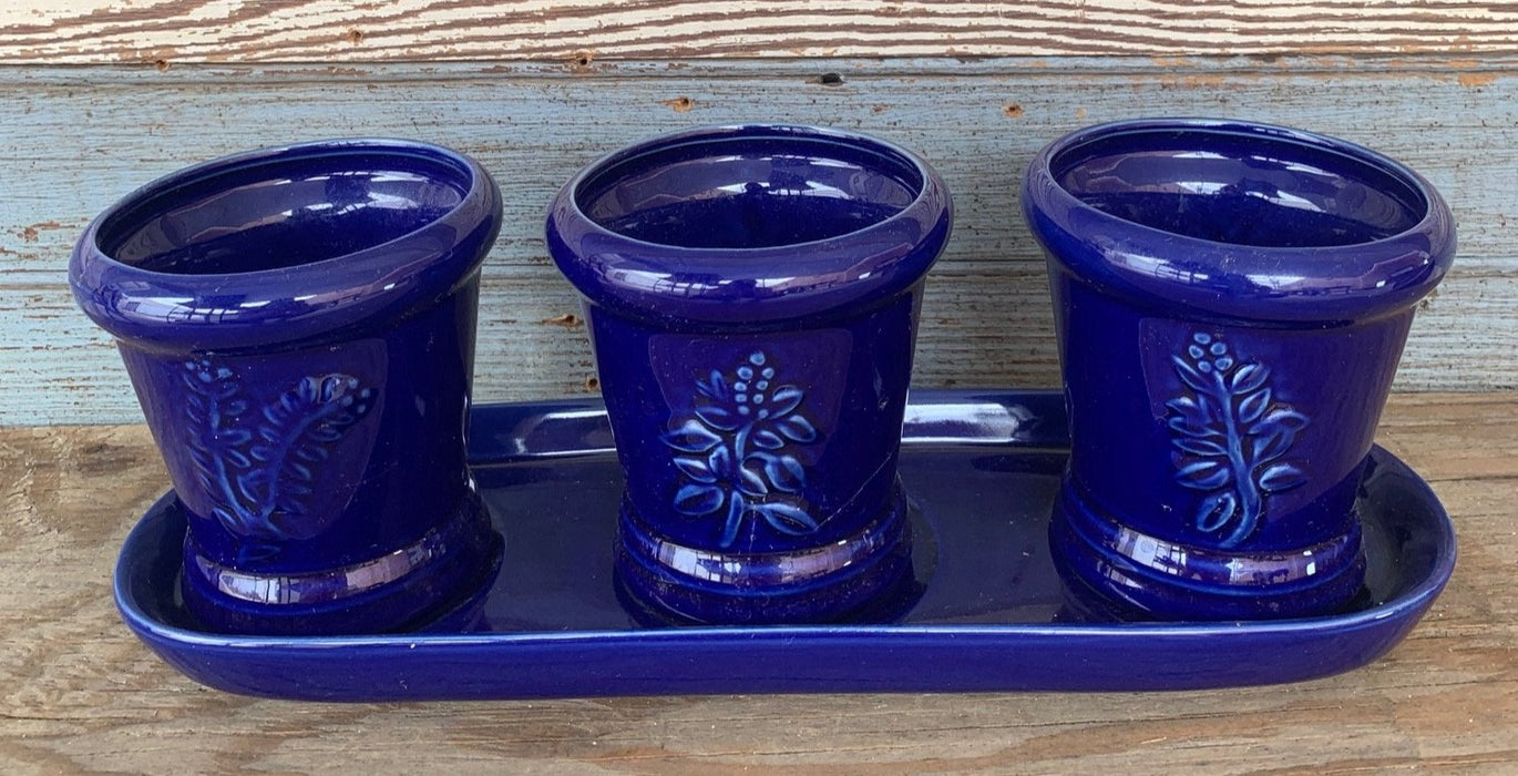 COBALT SMALL PLANTER TRIO WITH TRAY