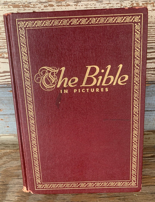 THE BIBLE IN PICTURES