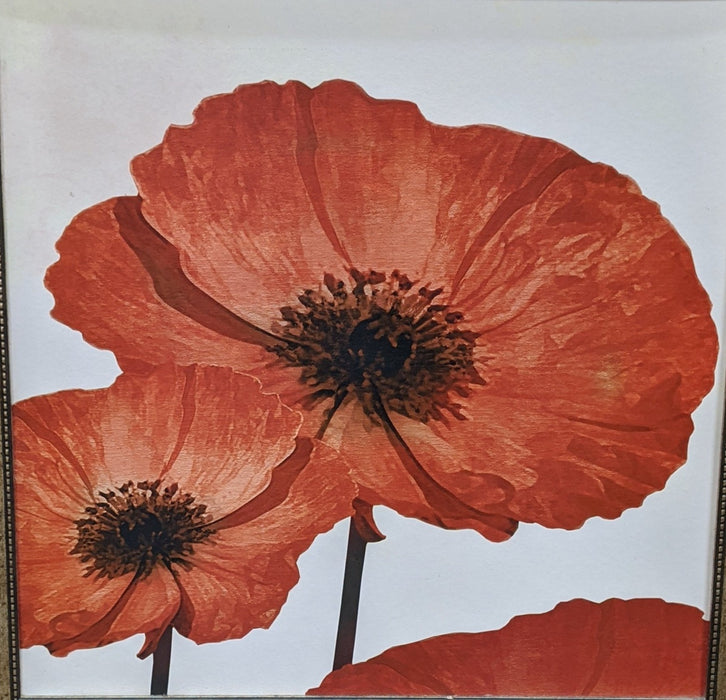 FLORAL POPPIES GICLEE-NOT OLD