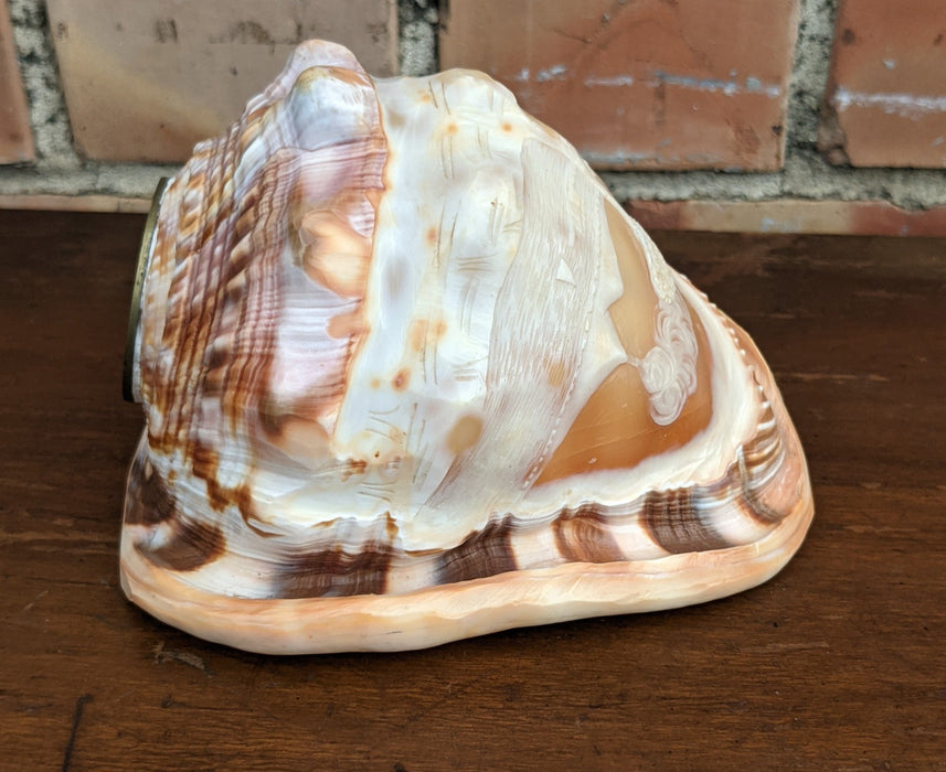 CONCH SHELL WITH CARVING