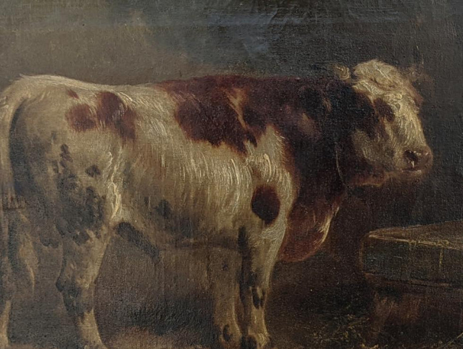 19TH CENTURY OIL PAINTING OF BULL SIGNED HENRY SHOUTEN