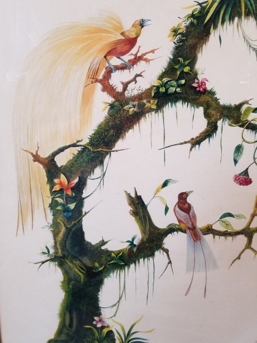 PENCIL DRAWING WITH WATERCOLOR BIRDS OF PARADISE BY D'MARCO