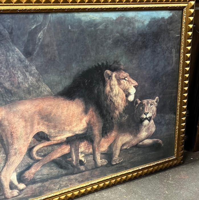 LARGE LION PRINT IN GOLD FRAME