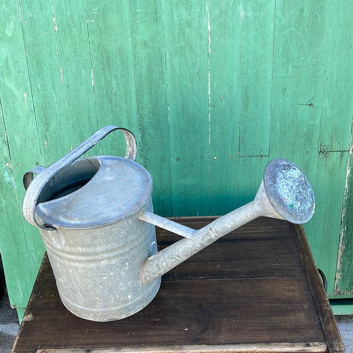 GALVANIZED WATER CAN WITH DIFFUSER