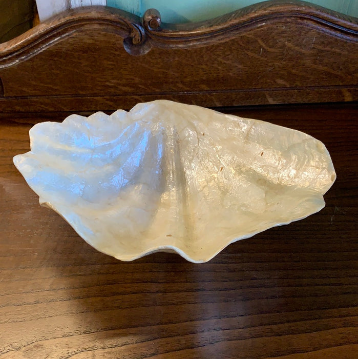 FAUX SHELL COMPOTE