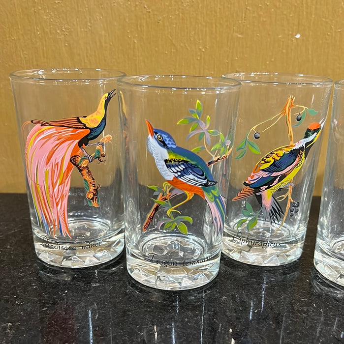 SET OF 6 SMALL BIRD THEMED GLASSEES