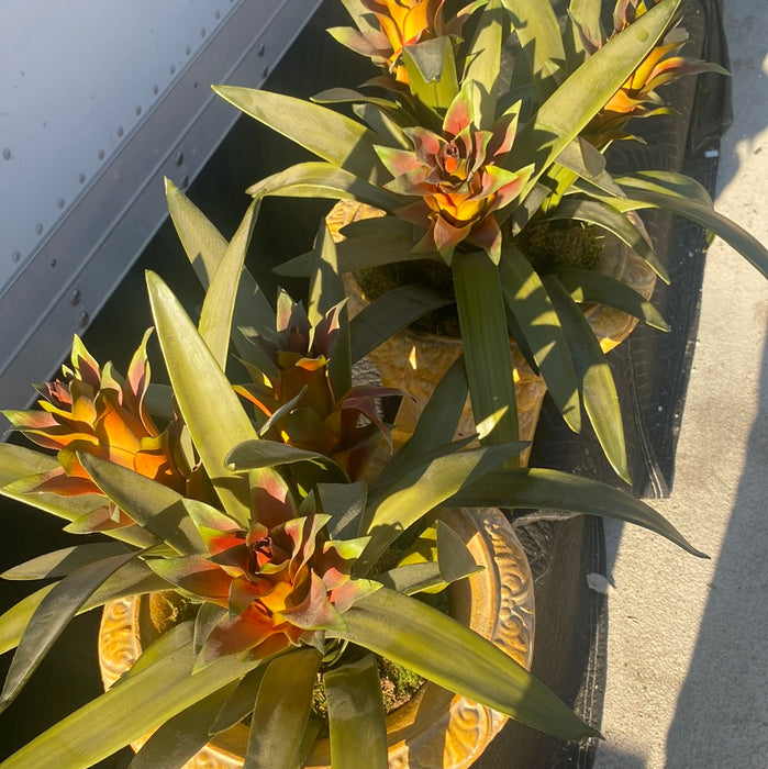 PAIR OF YELLOW METAL URN PLANTERS