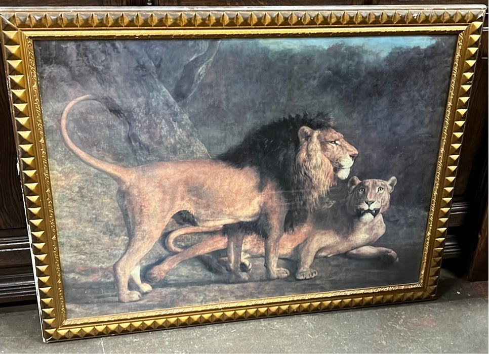 LARGE LION PRINT IN GOLD FRAME