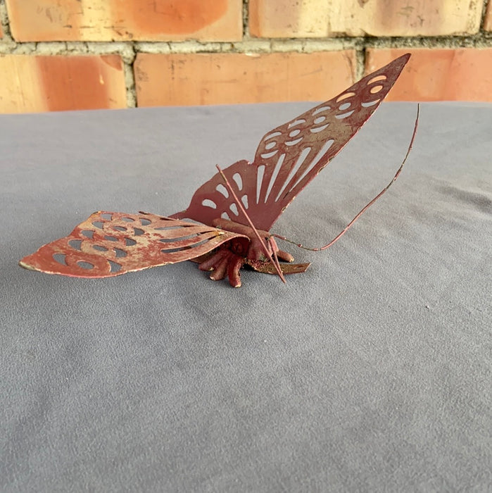 TIN BUTTERFLY