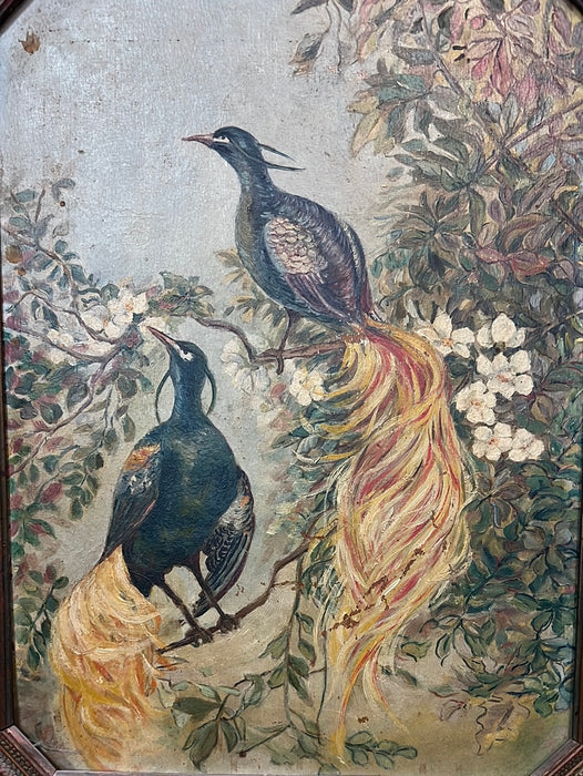 1920'S OIL PAINTING ON BOARD OF 2 COLORFUL BIRDS