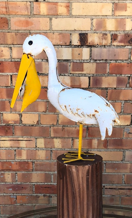 TIN PELICAN
