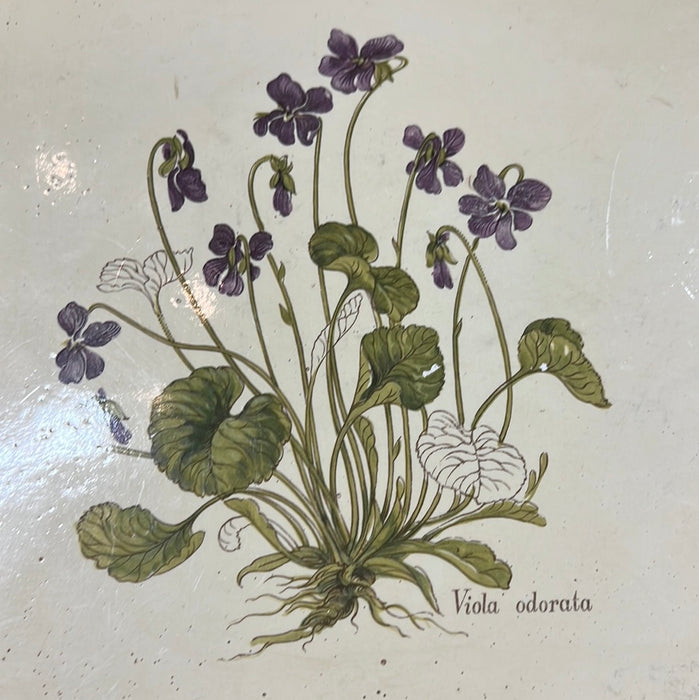 ROUNDED RECTANGULAR BOTANICAL TRAY