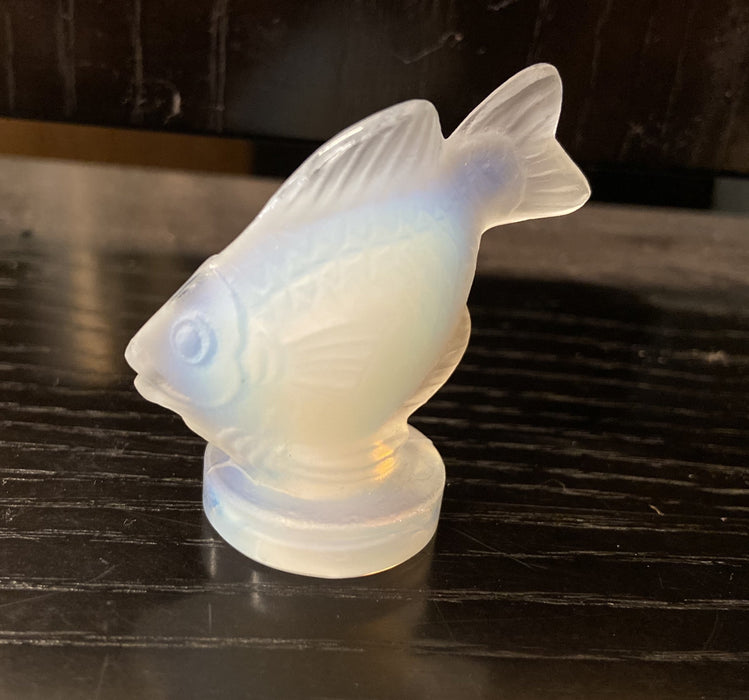 SABINO GLASS FISH