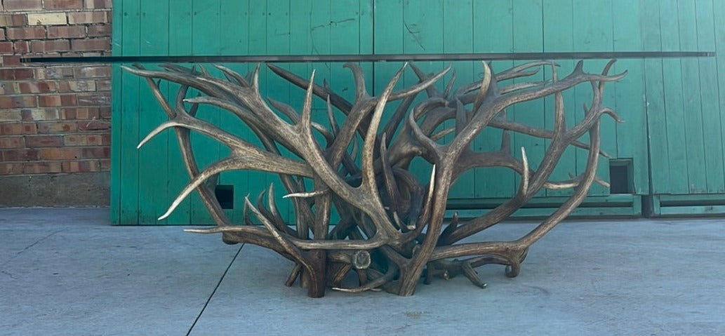 OVAL LARGE GLASS TOP TABLE WITH ANTLER BASE