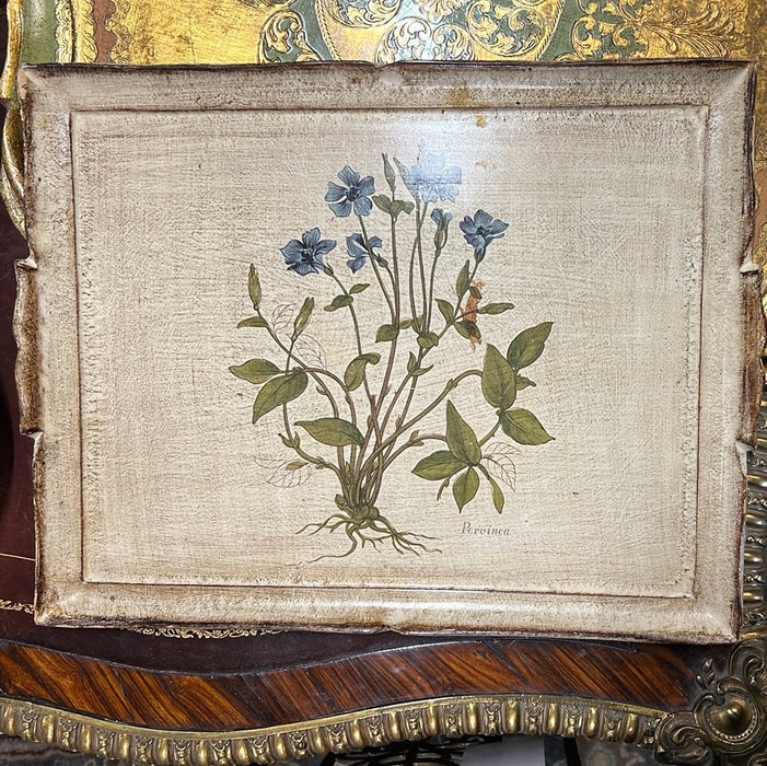 RECTANGULAR FLORENTINE TRAY WITH PERVINA FLOWER