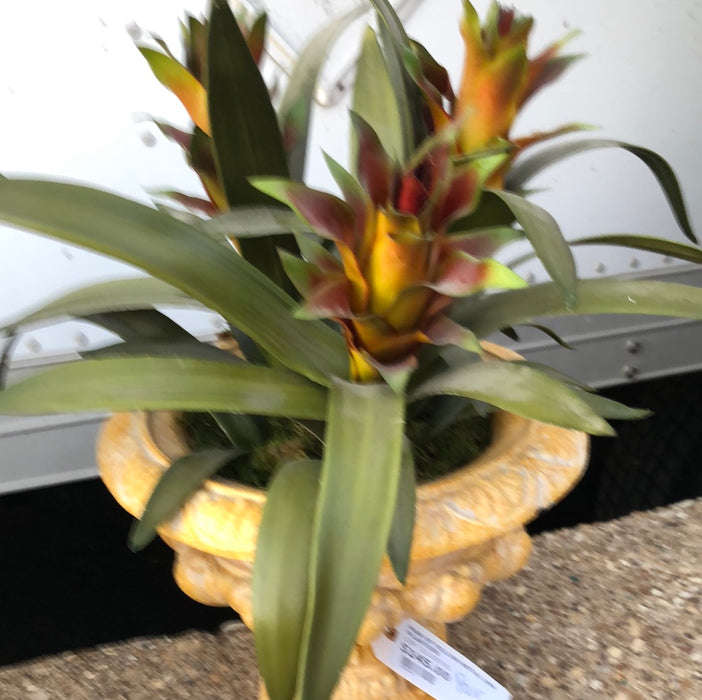 PAIR OF YELLOW METAL URN PLANTERS