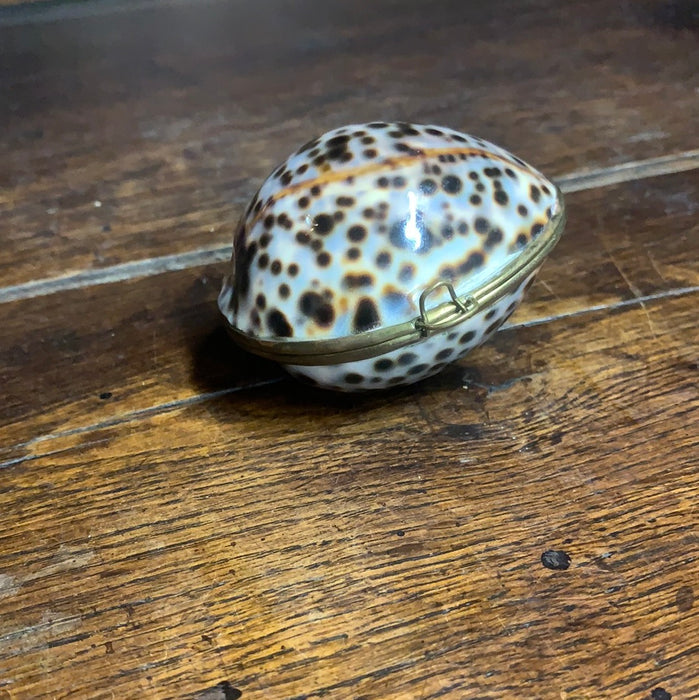 COWRIE SHELL BOX