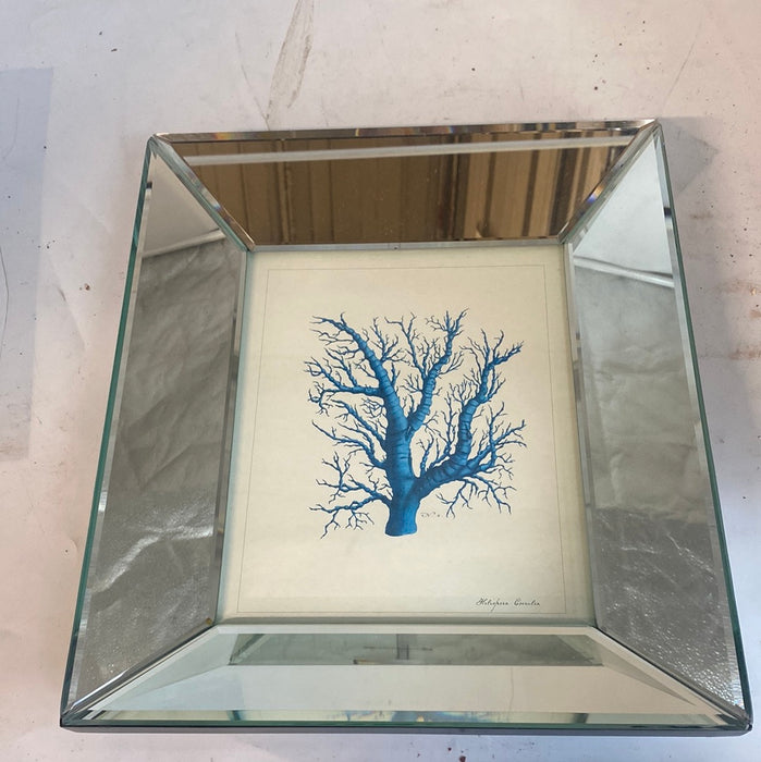 SET OF THREE BEVELED MIRRORED BLUE CORAL PRINTS