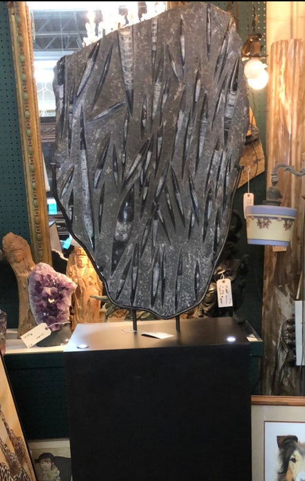 LARGE MOLLUSK FOSSIL MOUNTED ON METAL STAND