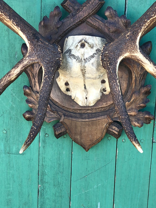 BLACK FOREST CARVED PLAQUE WITH ELK HORNS RACK