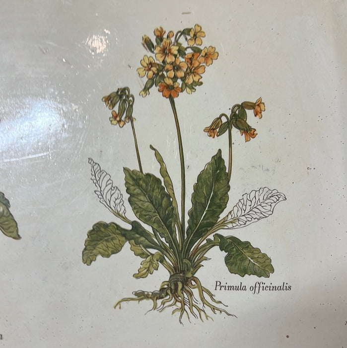 ROUNDED RECTANGULAR BOTANICAL TRAY