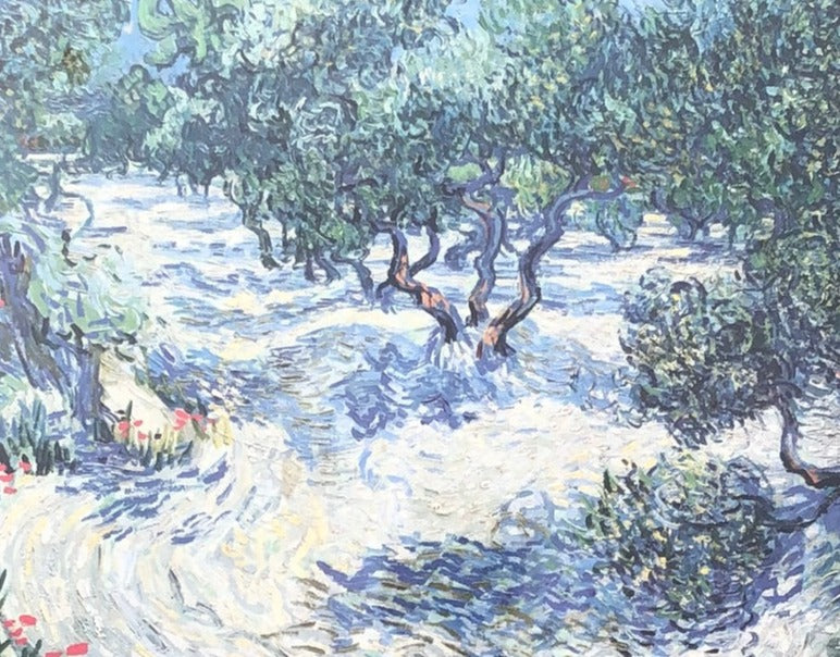 VINCENT VAN GOGH MUSEUM PRINT-OLIVE ORCHARD FARM