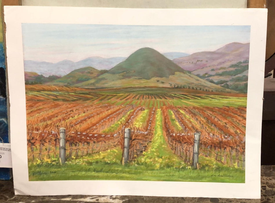 UNFRAMED PRINT OF VINEYARD BY DON HAWTHORNE 2/200